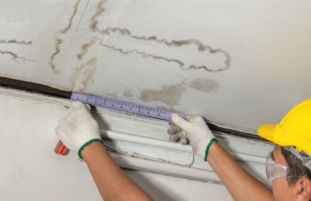 Reliable Water Damage contractor in New Lisbon, NJ by Water Damage Irwin
